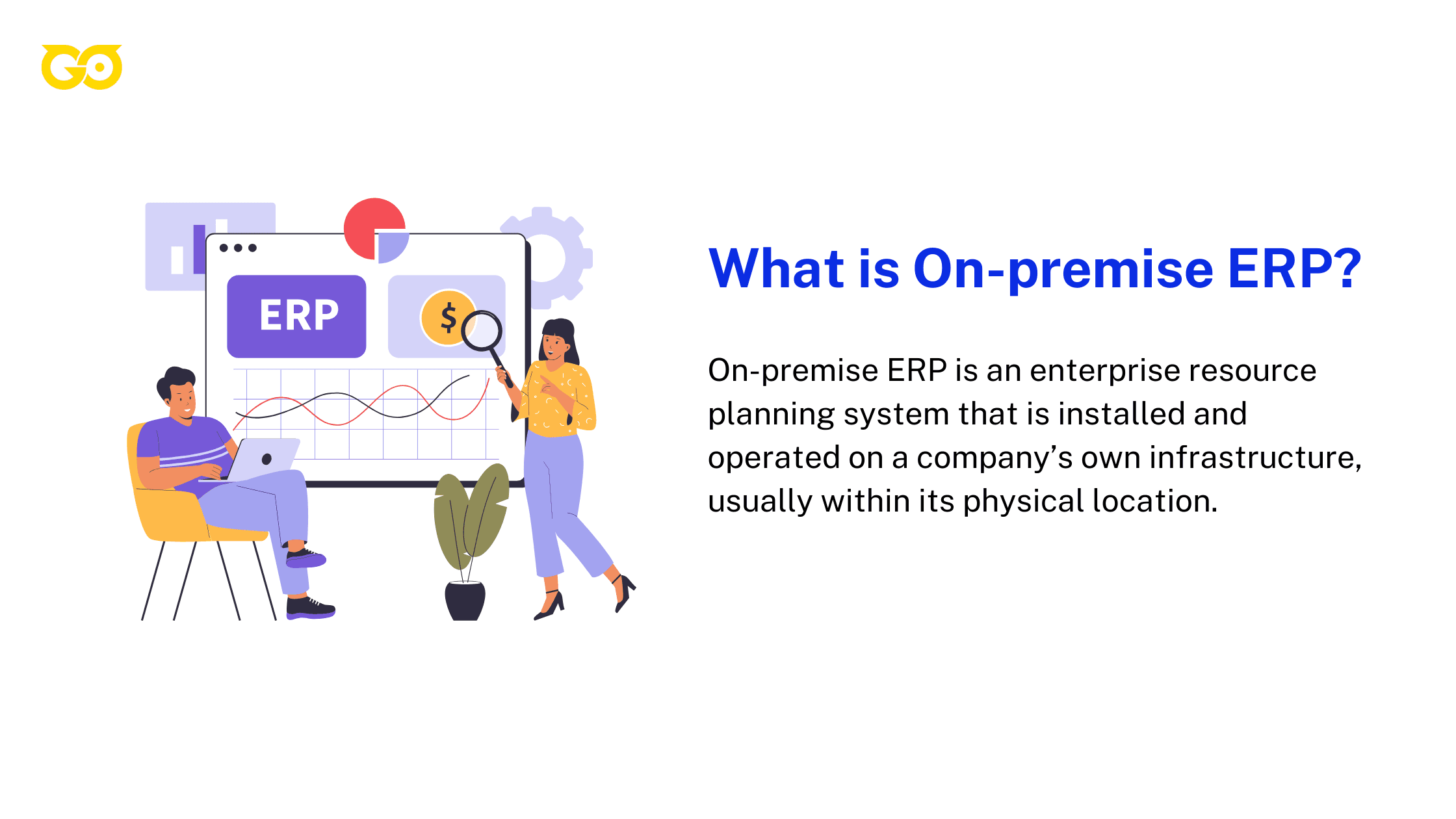 What is On-premise ERP?