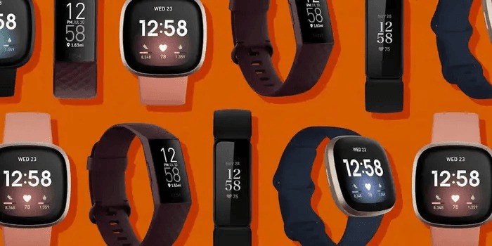 Wearable App Success: Fitbit Case Study