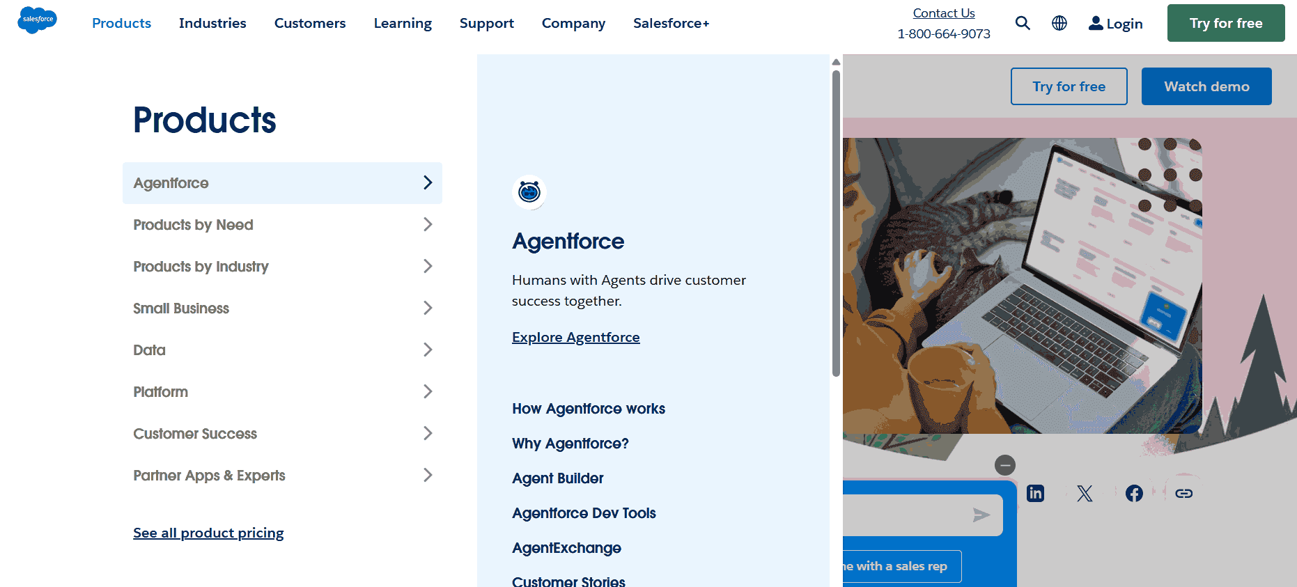 5 Popular Web Portal Examples Across Industries