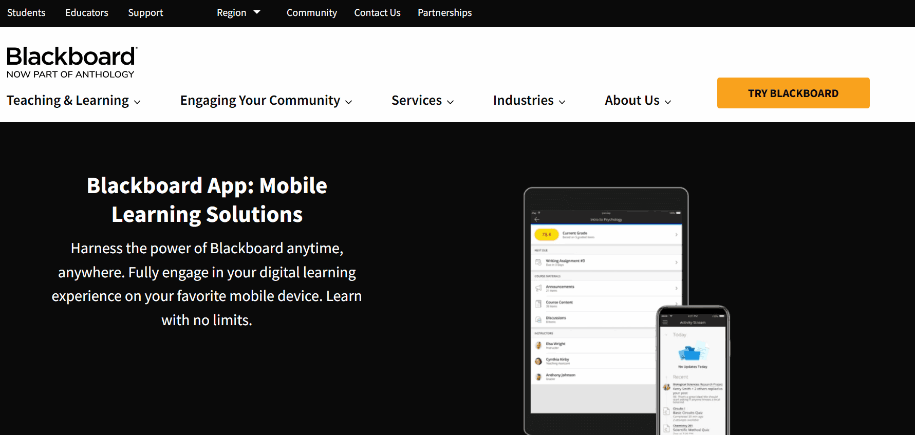 5 Popular Web Portal Examples Across Industries