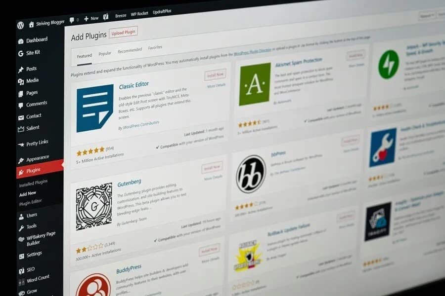 What to Expect from Professional WordPress Website Development Services