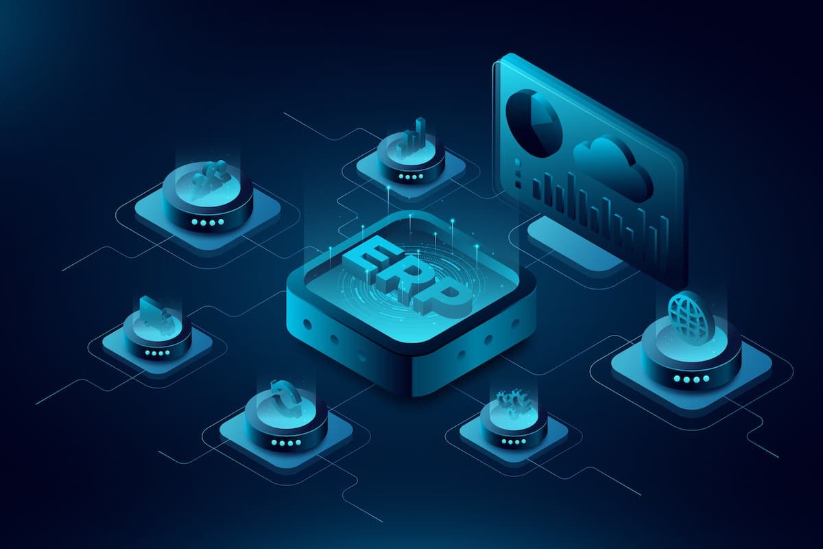 The Future of Integrated Business Systems